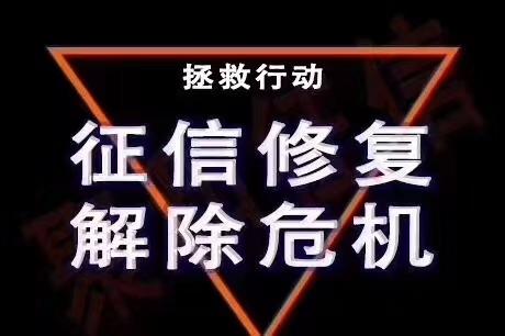 哪些领域需要使用到信用报告?