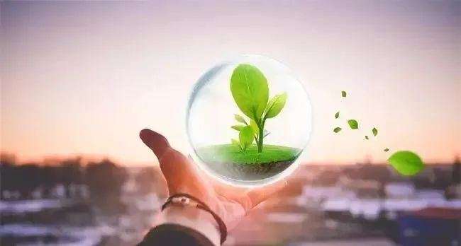 公积金条例修订征求意见，建立失信名单强化信用分级监管
